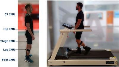 Estimating vertical ground reaction forces during gait from lower limb kinematics and vertical acceleration using wearable inertial sensors